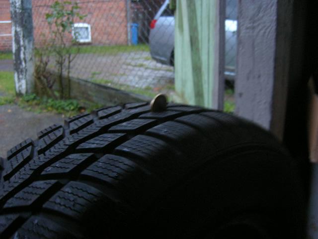 Falken2.JPG