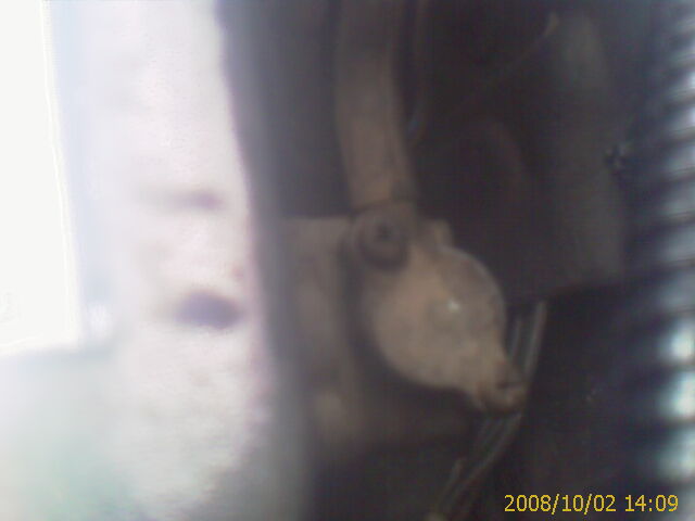 IMAG0004.jpg