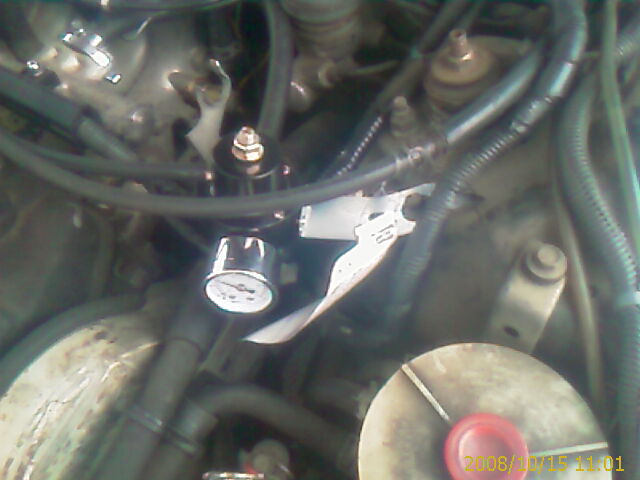 IMAG0009.jpg