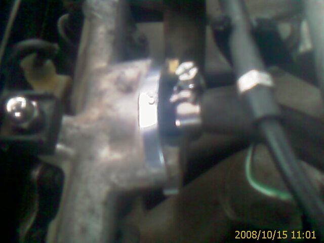 IMAG0011.jpg