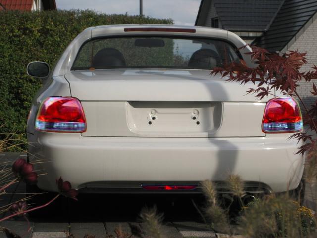 img4071cm0.jpg