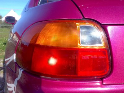 051020080233.JPG