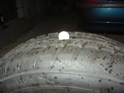 falken1.JPG