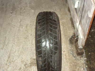 falken3.JPG