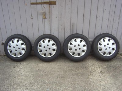 falken4.JPG