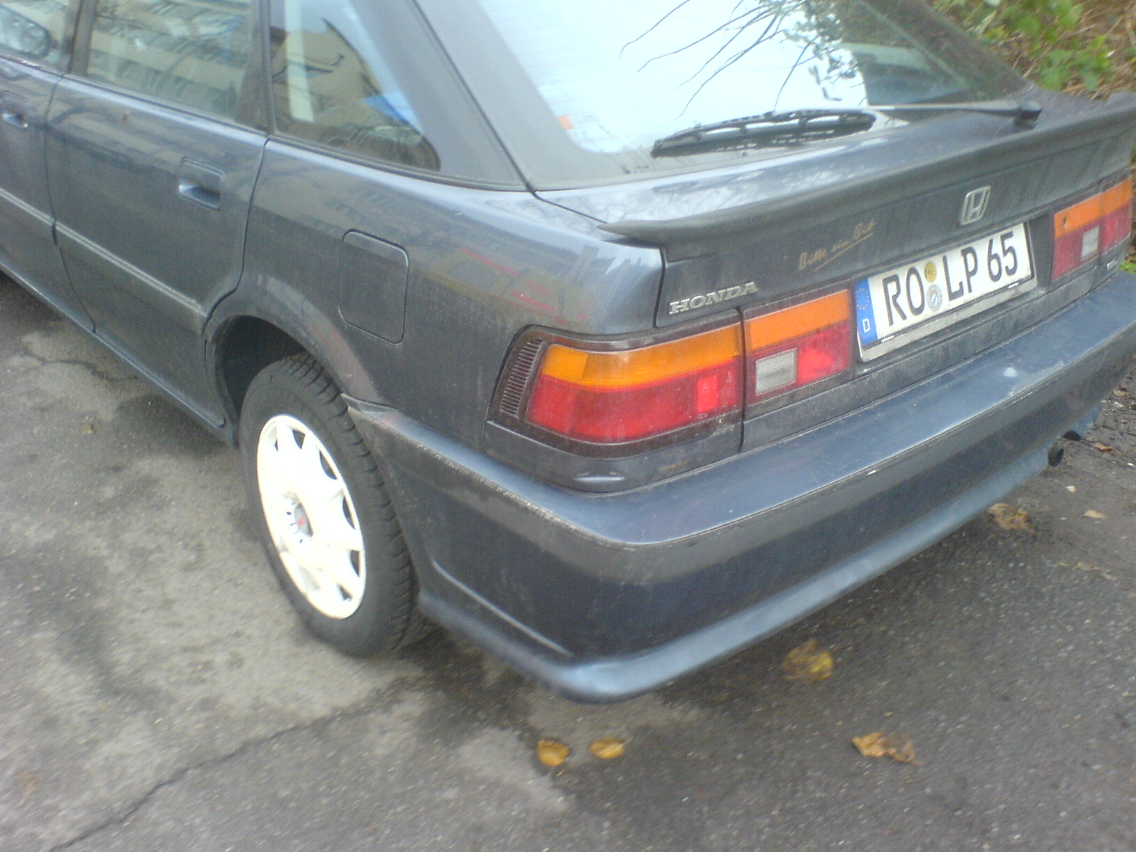 DSC00680.JPG