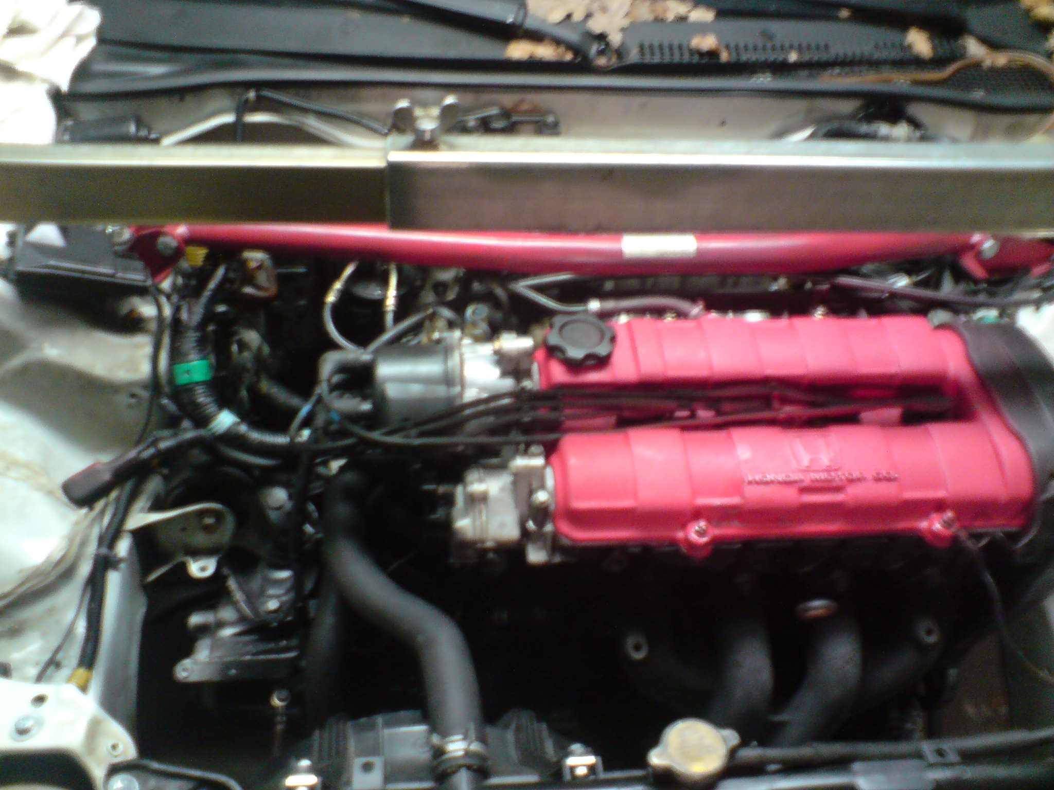 DSC01164.JPG