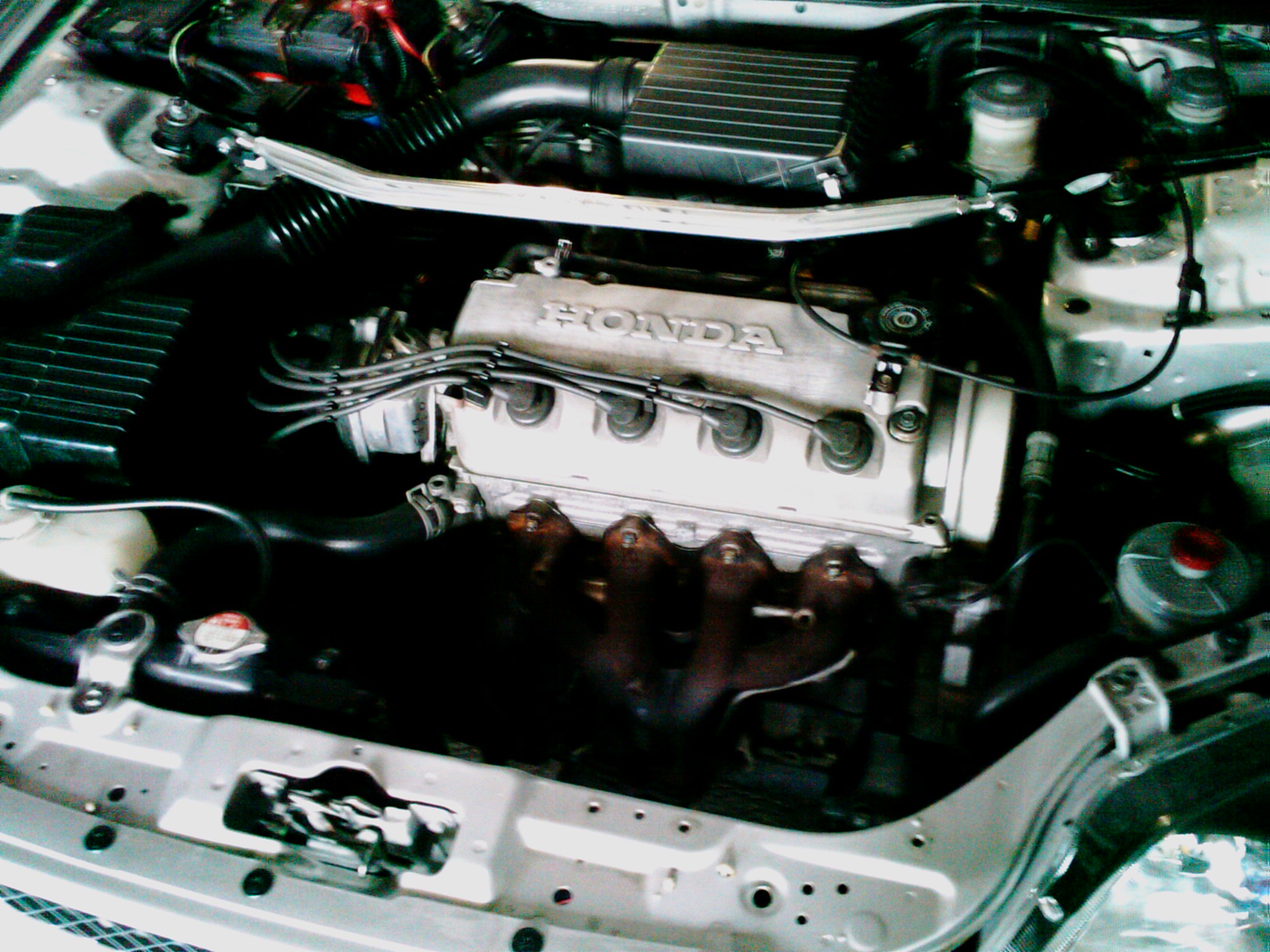 IMAG0288.jpg