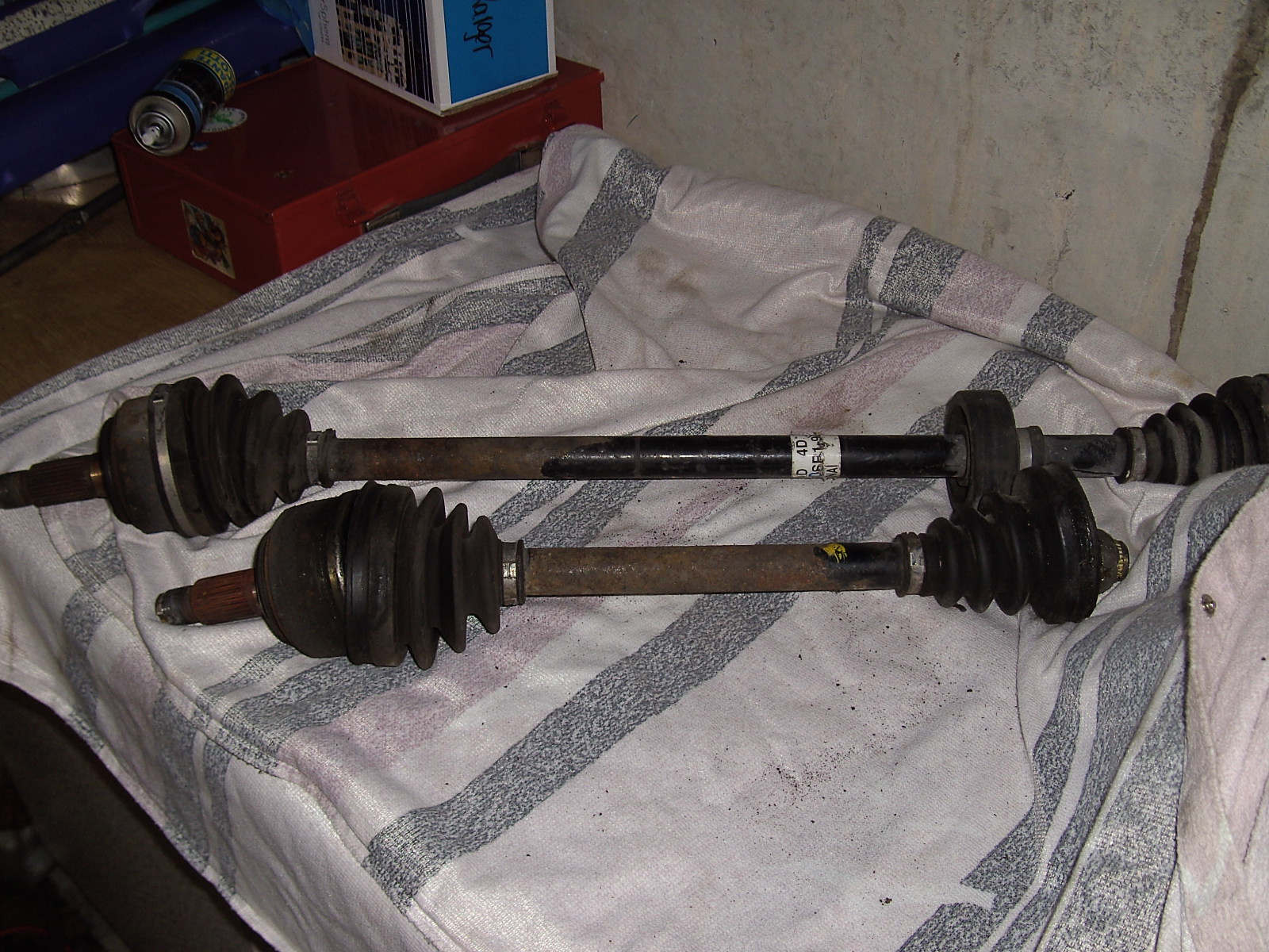 PICT2215.JPG