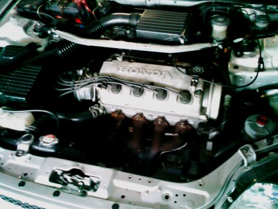 IMAG0288.jpg