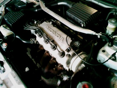IMAG0289.jpg