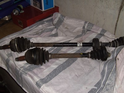 PICT2215.JPG