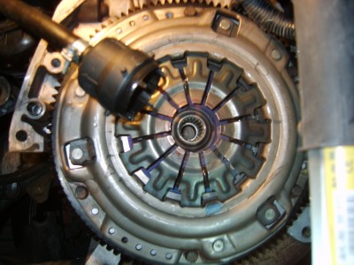 S8000007.JPG