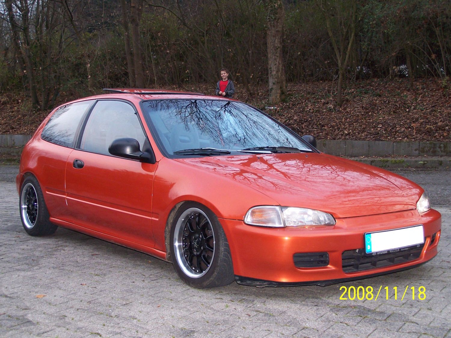 100_6027klein.jpg
