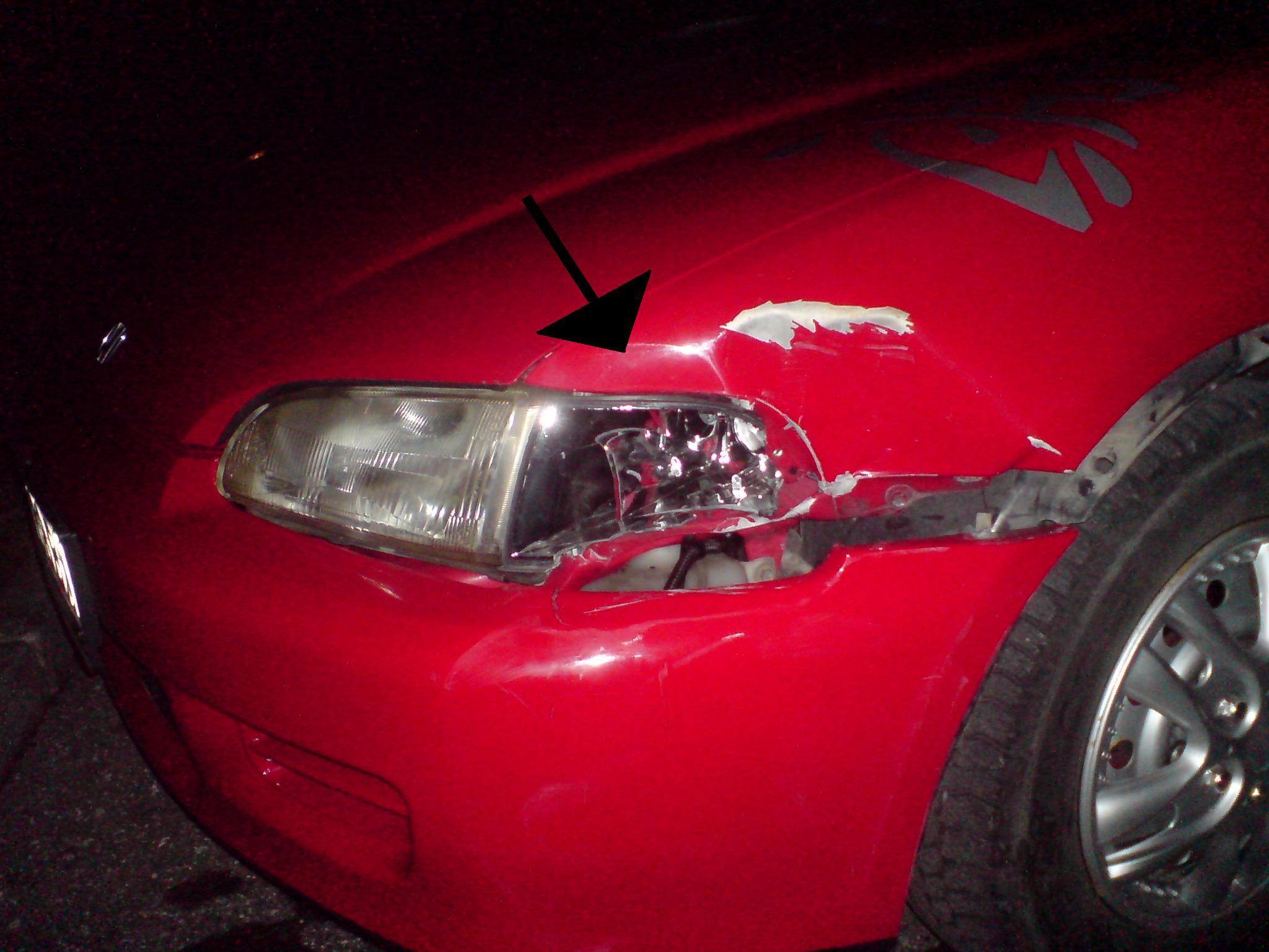 DSC00427 - Kopie.JPG