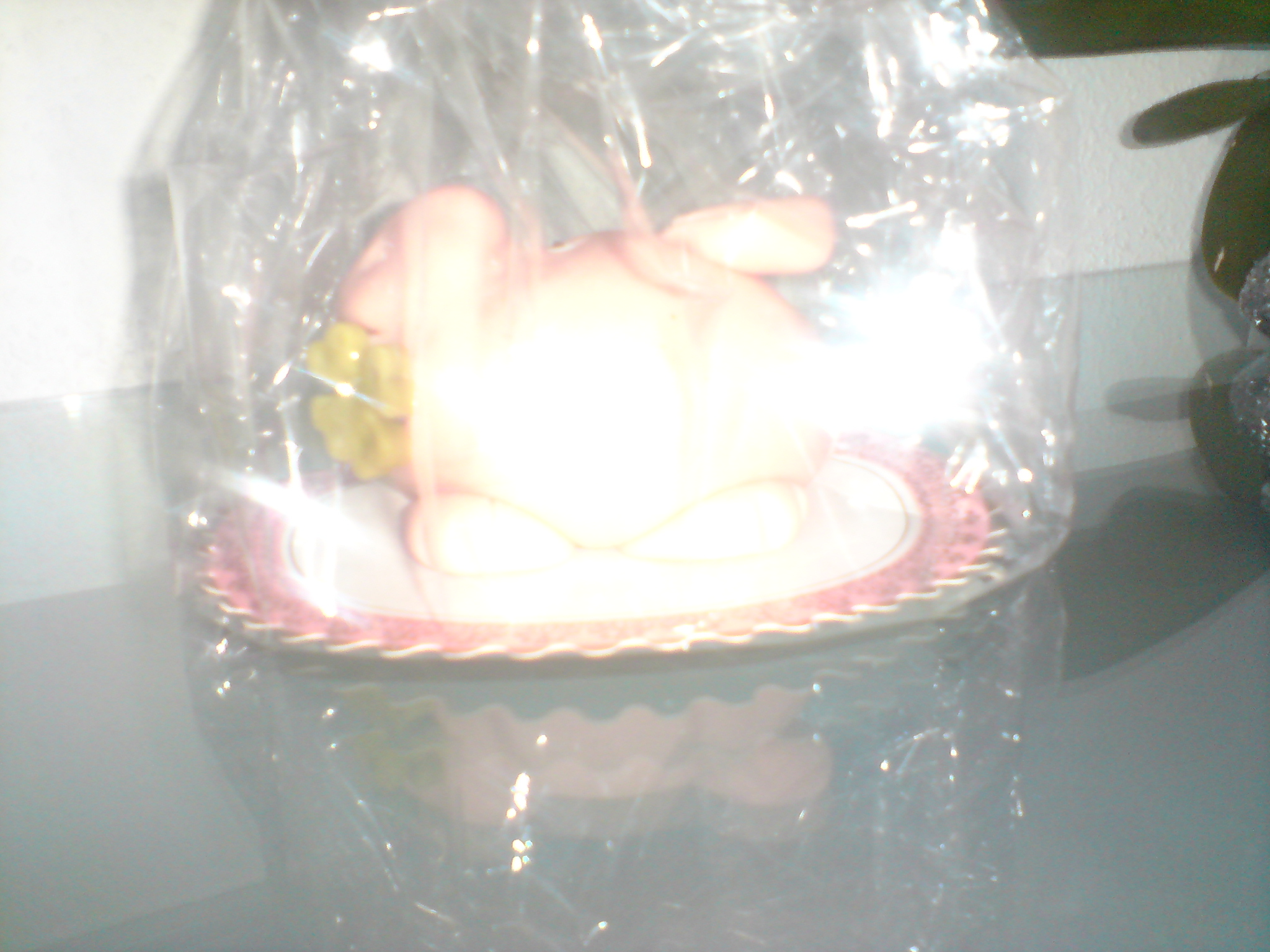 DSC00795.jpg