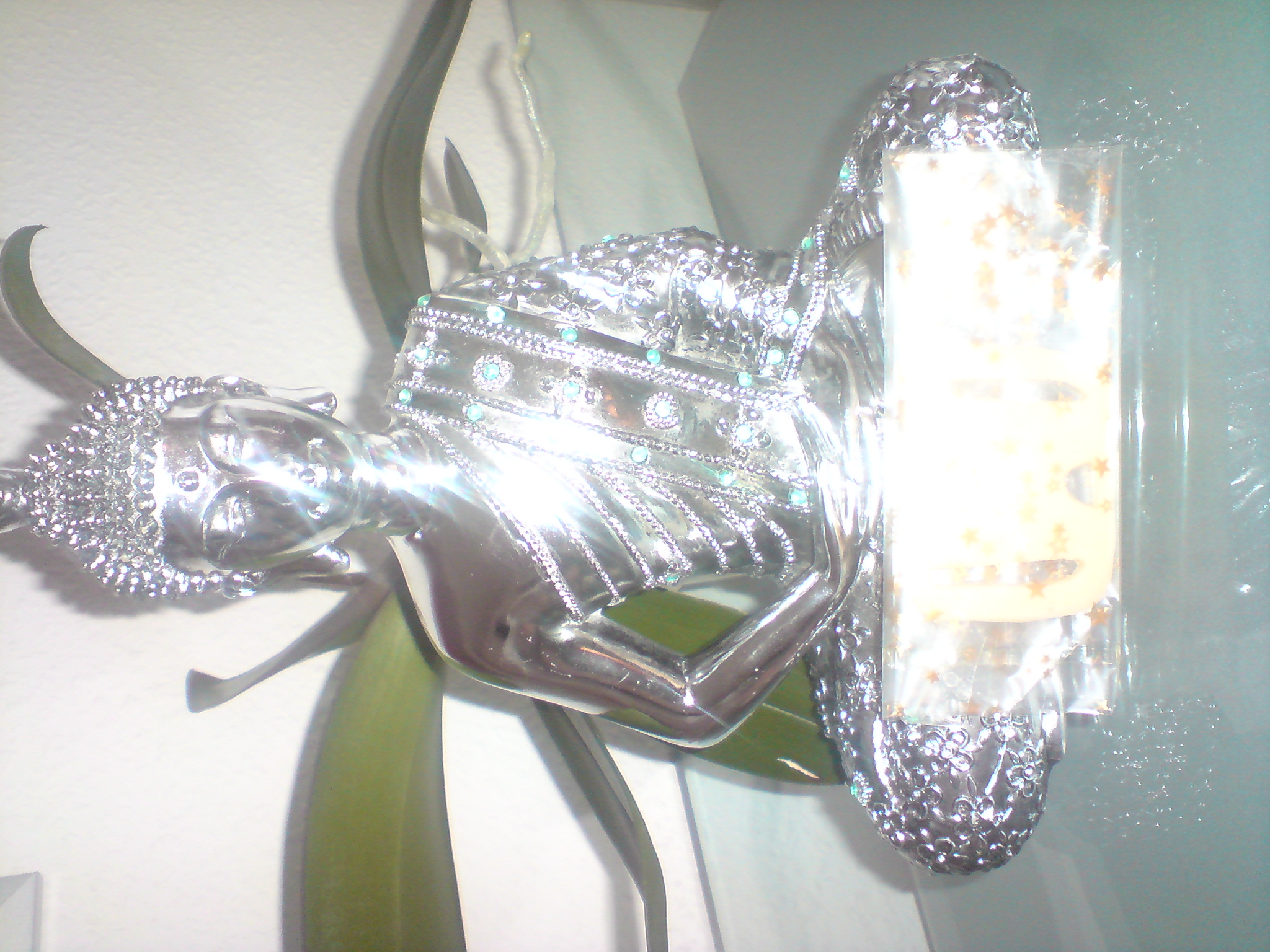 DSC00799.jpg