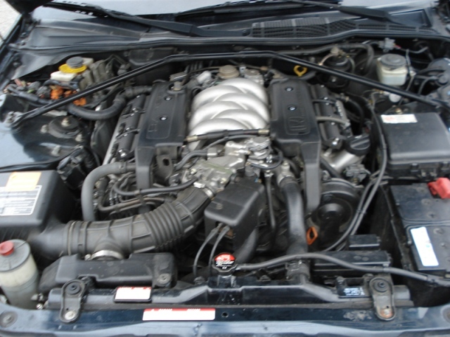 DSC01385.JPG