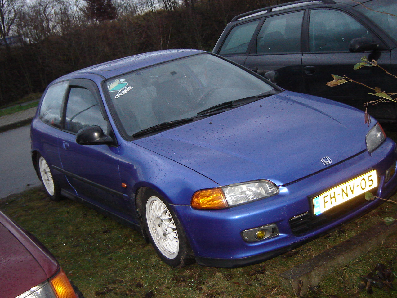 DSC05224.JPG