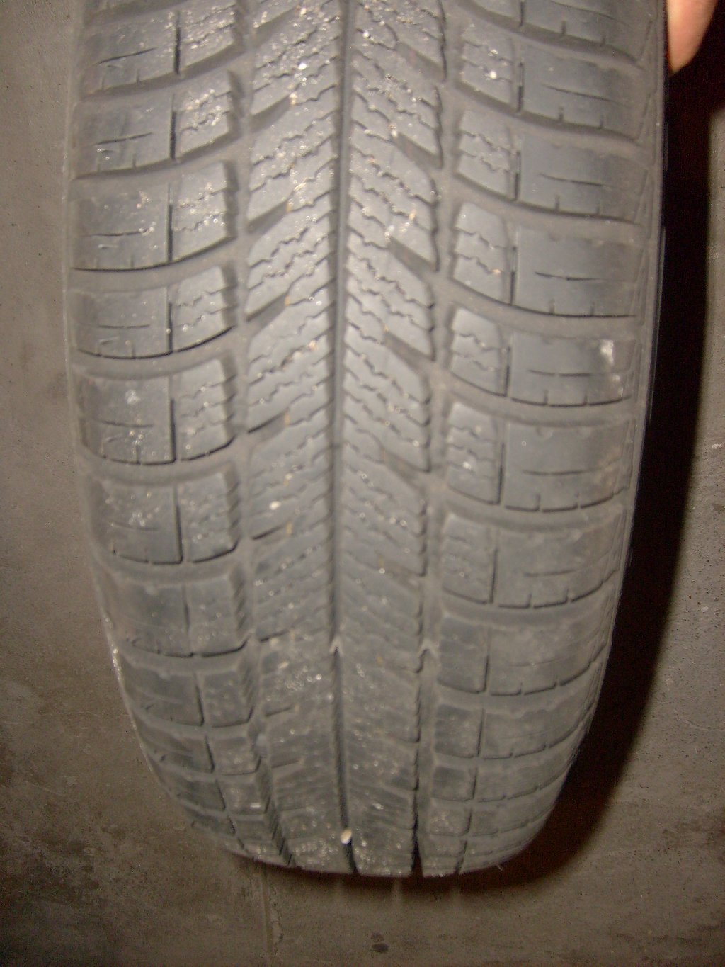 S6300176_1024x1365.JPG
