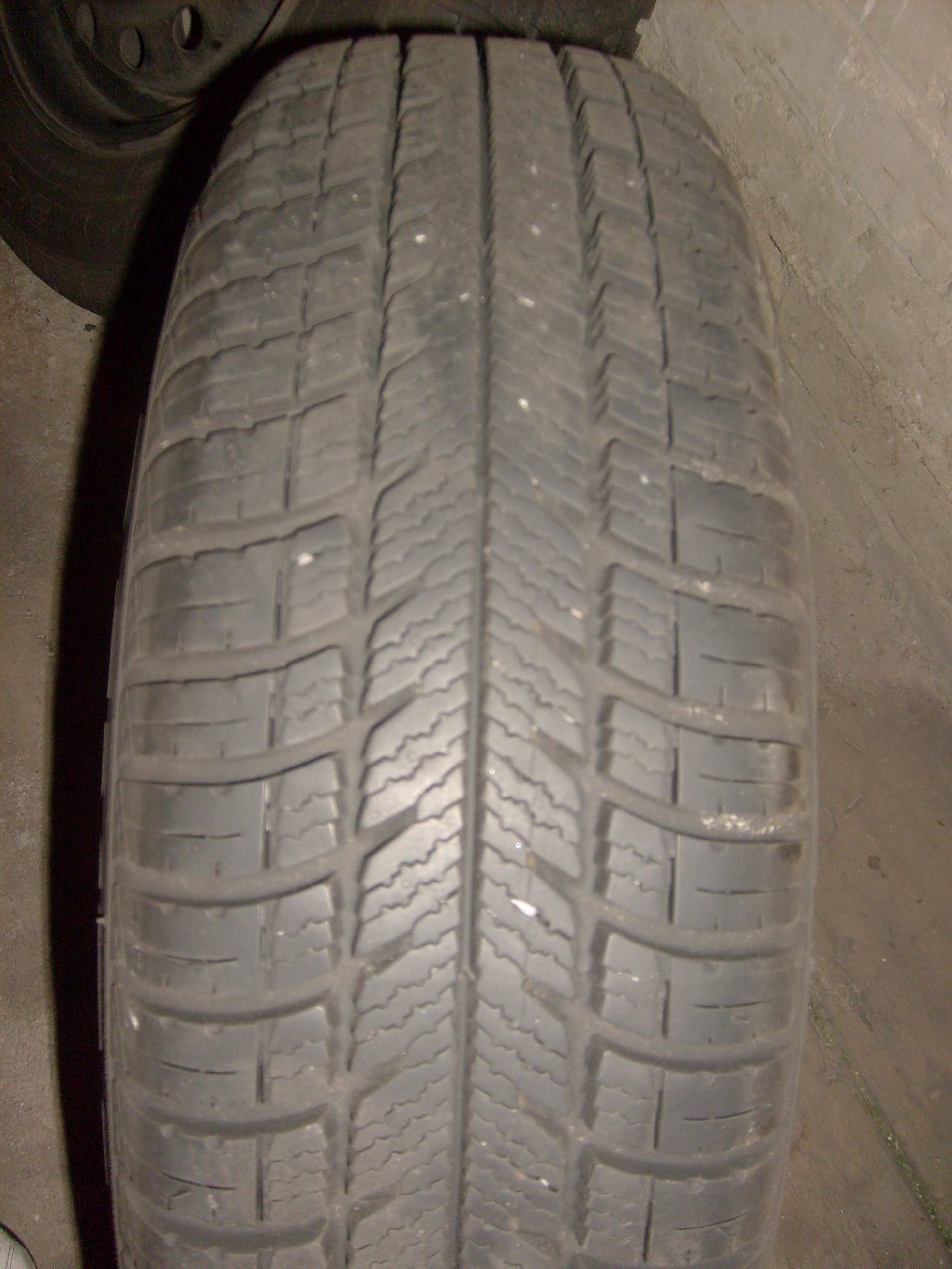 S6300177_1024x1365.JPG