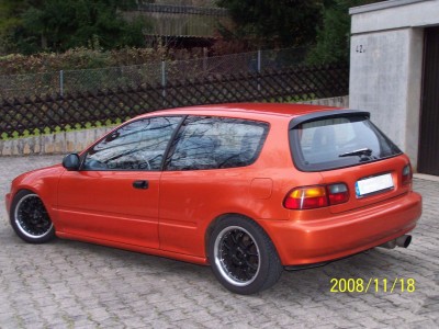 100_6020klein.jpg