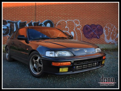 CRX_Dano_03.jpg