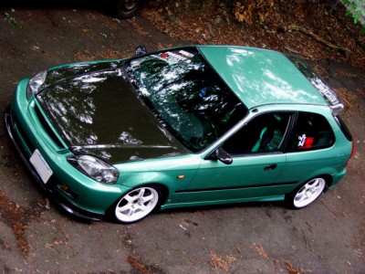 new7706017mo9[1].jpg