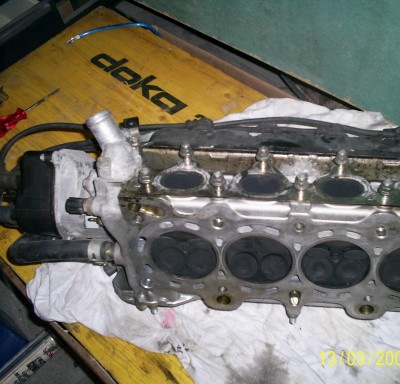 S5021043.JPG