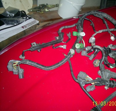 S5021047.JPG