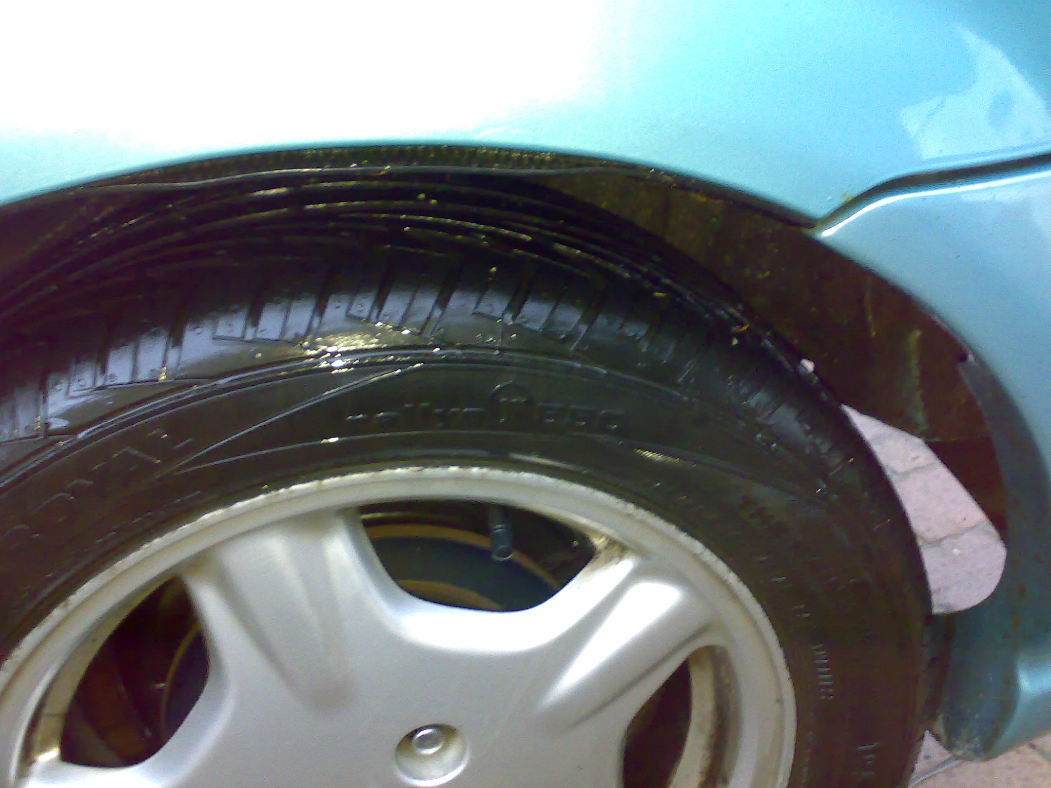 04072007186.jpg