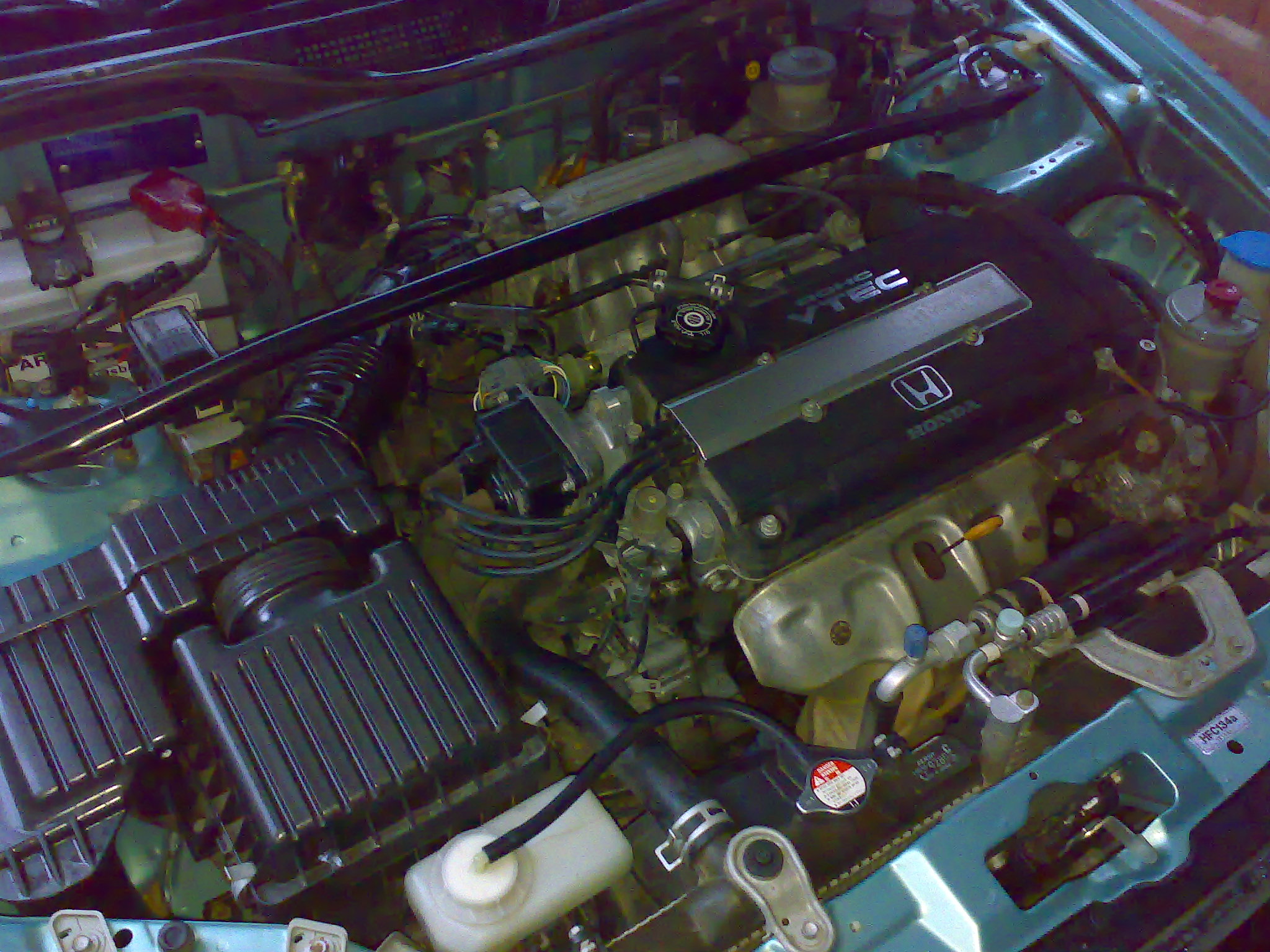 04072007187.jpg