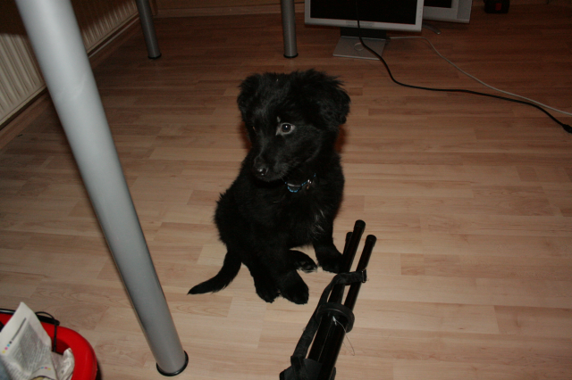 Bild 200.bmp