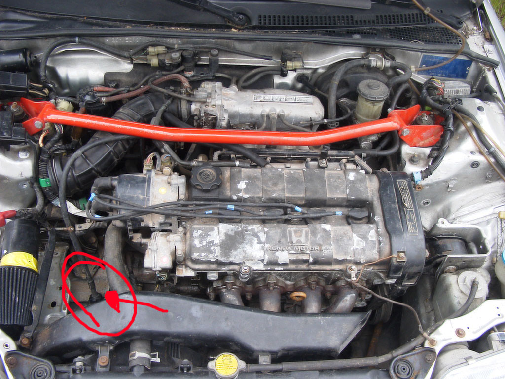 d16z5.jpg