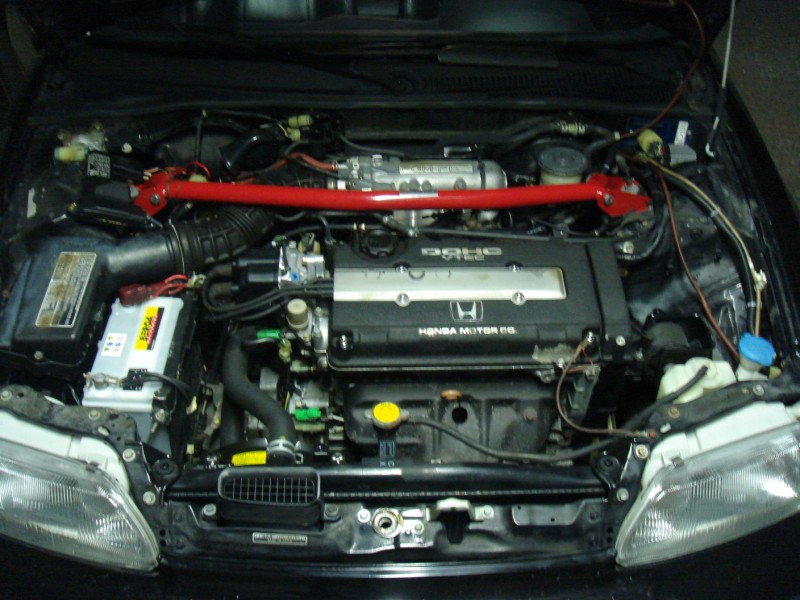 DSC02747.jpg