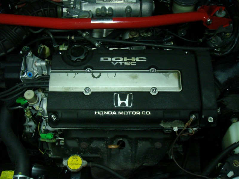 DSC02750.jpg