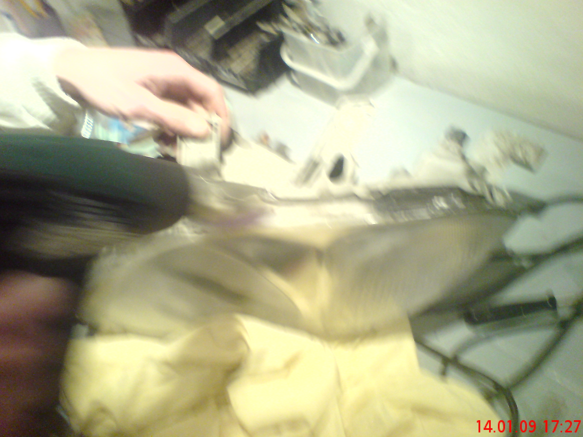 DSC08411.JPG