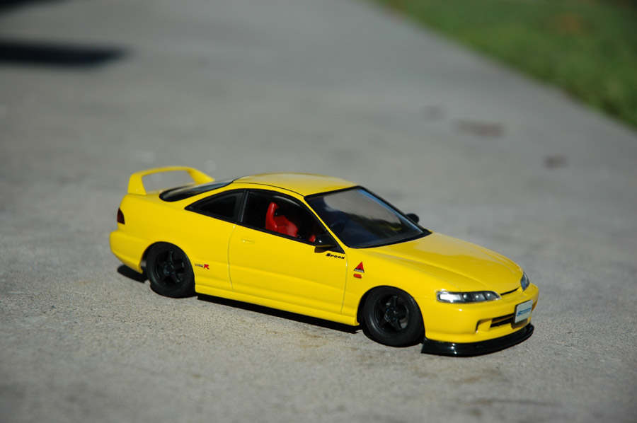 DSC_1842a.jpg
