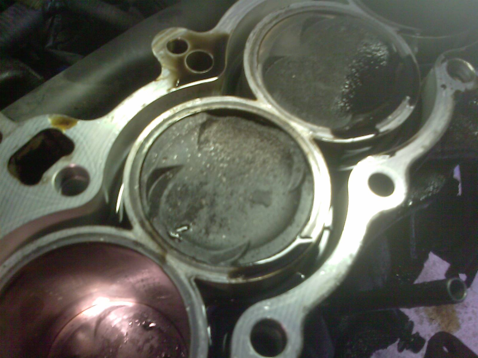 IMAG0299.jpg