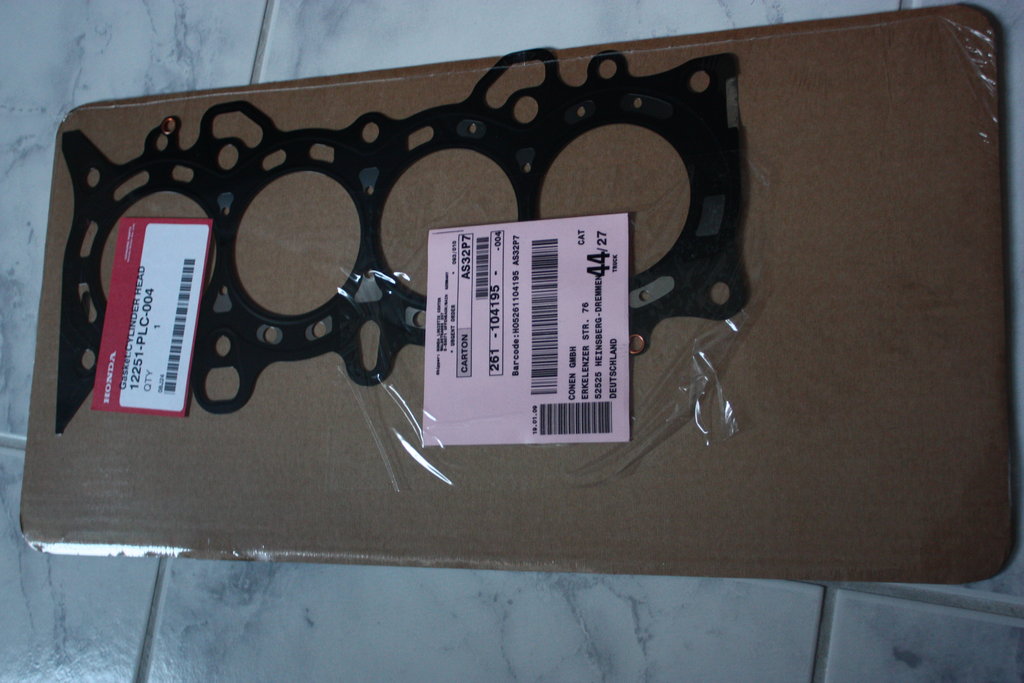 img0862yz7.jpg