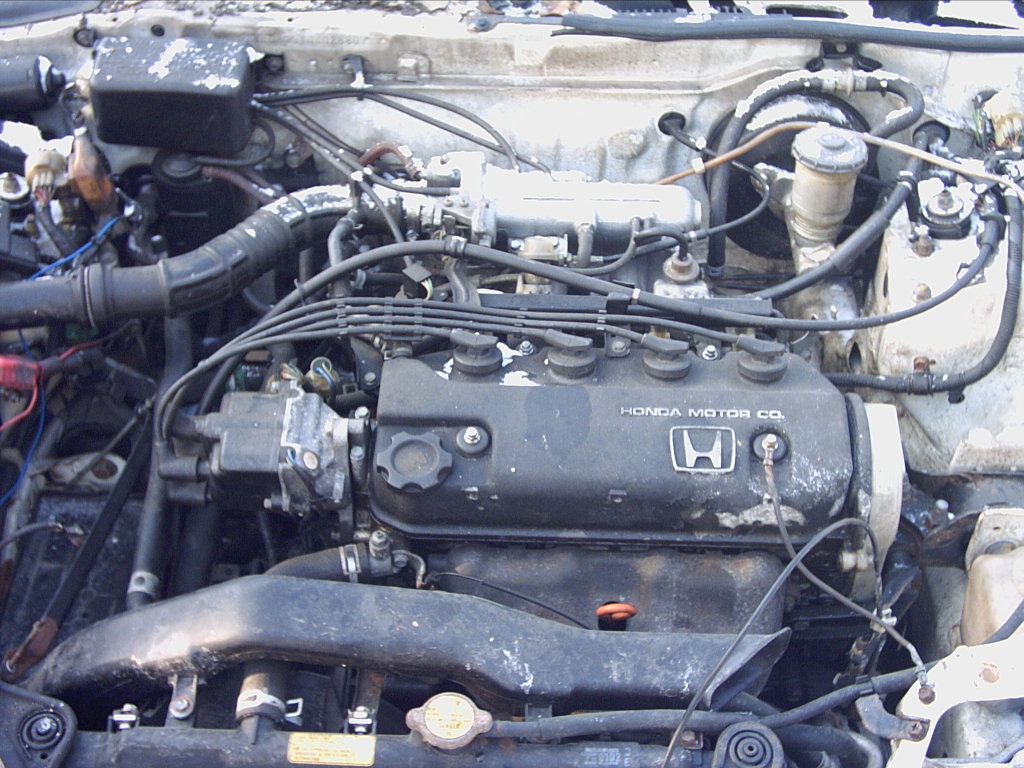PICT0060.JPG
