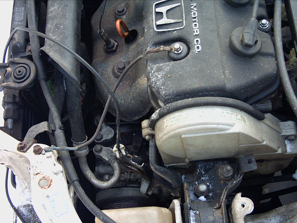 PICT0061.JPG