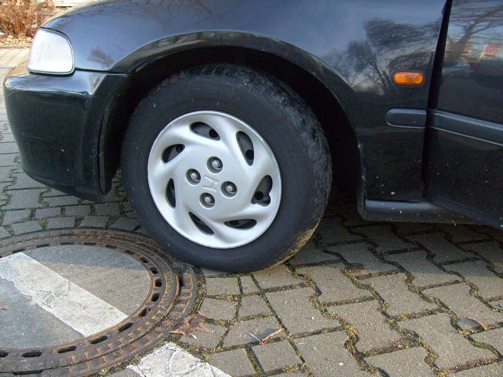 S7300082.JPG