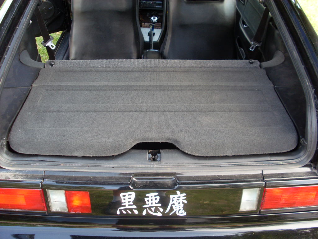SL380856.JPG