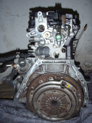 11.1.2009 053.JPG