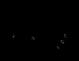 honda_video.wmv