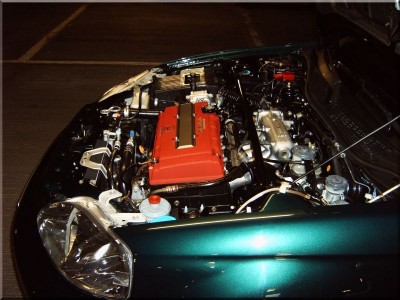 IMG00450.JPG