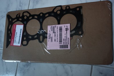 img0862yz7.jpg