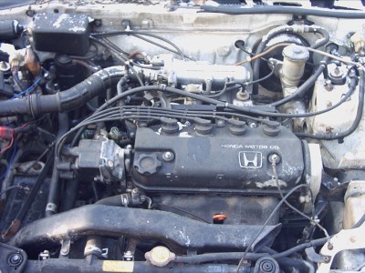 PICT0060.JPG