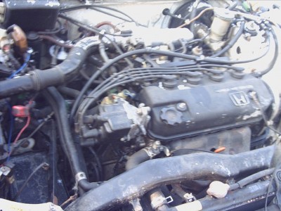 PICT0063.JPG